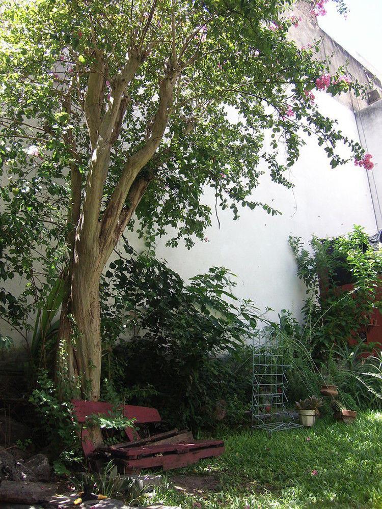 La Lechuza Hostel Rosario Exterior photo